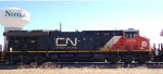 CN 3203
